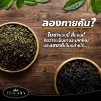 Tea-ara ใบชาอัสสัม จากเทือกเขาKanbawza รัฐฉาน ประเทศพม่า (มีใบcertificationผลlabว่าปราศจากสารกันบูด,สีหรือเชื้อโรค)-3