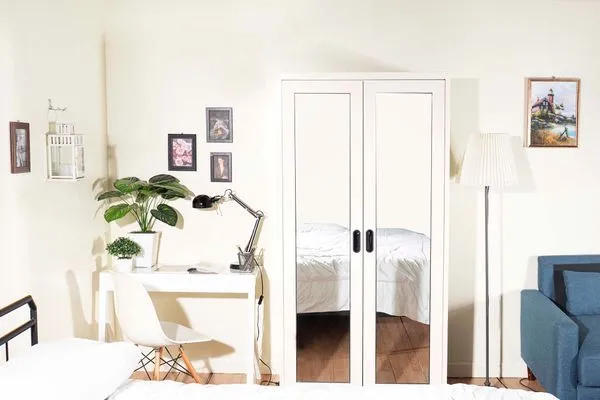 Open door Left&Right mirror wardrobe