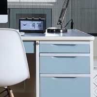 Double pedestal Desk-1