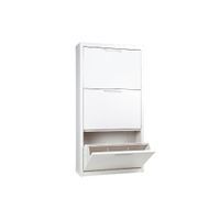 Shoe cabinet -3 swing doors-8