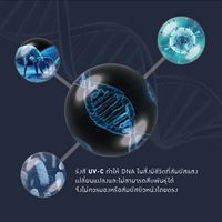 ตู้ฆ่าเชื้อด้วยแสง UV-C รุ่น UNI-0UVs-2