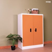 2Doors cabinet - Middle-1