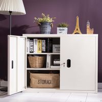 2Doors cabinet -1