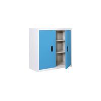 2Doors cabinet -5