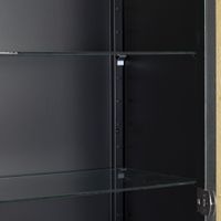 Figure model display cabinet with adjustable shelves & LED lights.-4