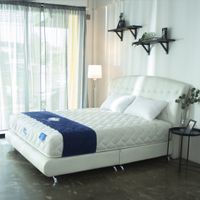  Synda Mattress - Back Repose 6 ft.